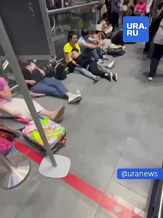       ,   -  ,    ,  