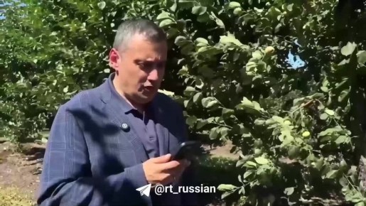   ,  -    ,   ,   