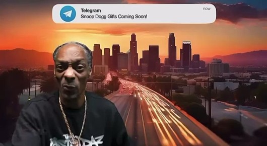 Snoop Dogg    Telegram     NFT  