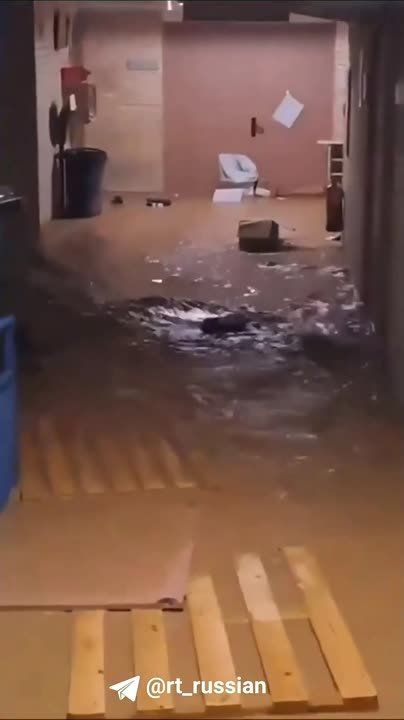          ,  Euronews