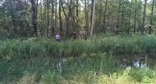  15           ,     ,      
