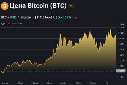        $119 