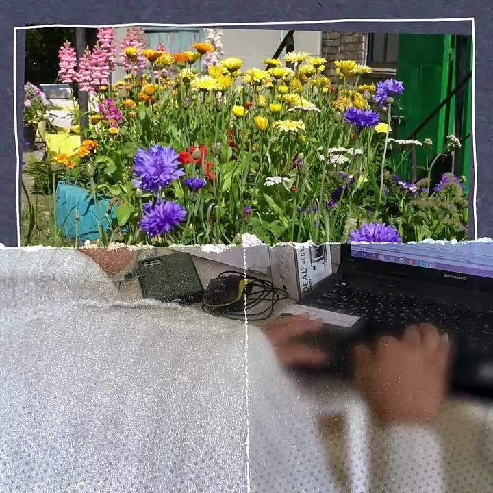         ,    ,   
