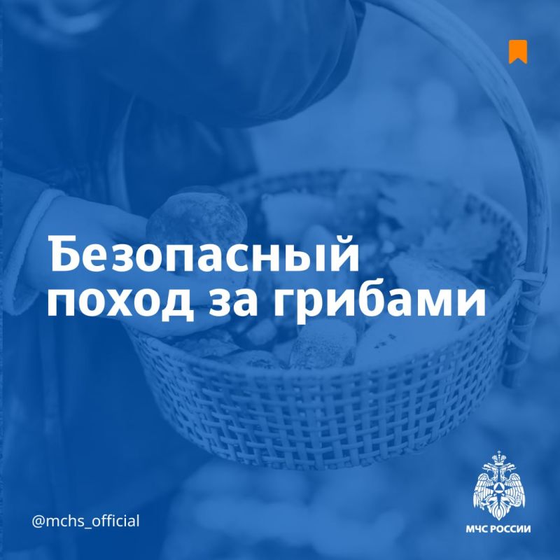#.                Telegram | MAX
