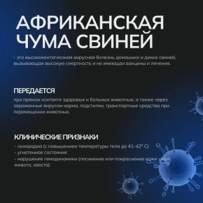   :   !