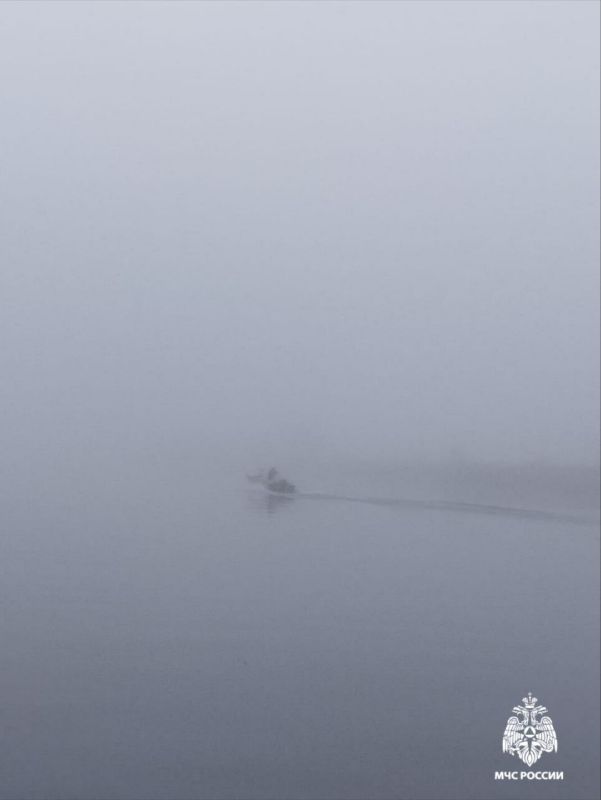 Доброе туманное утро!. МЧС России напоминает! Из-за тумана видимость на дорогах ограничена: