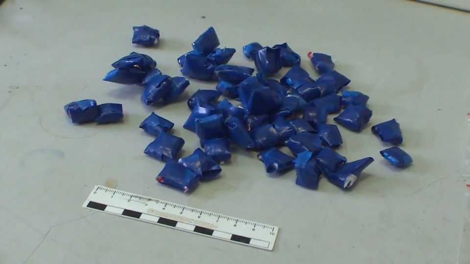 Следователи органов внутренних дел направили в суд уголовное дело о попытке сбыта наркотиков в крупном размере