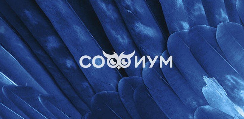 Всероссийская олимпиада школьников по избирательному праву и процессу «Софиум» проходит уже не первый год