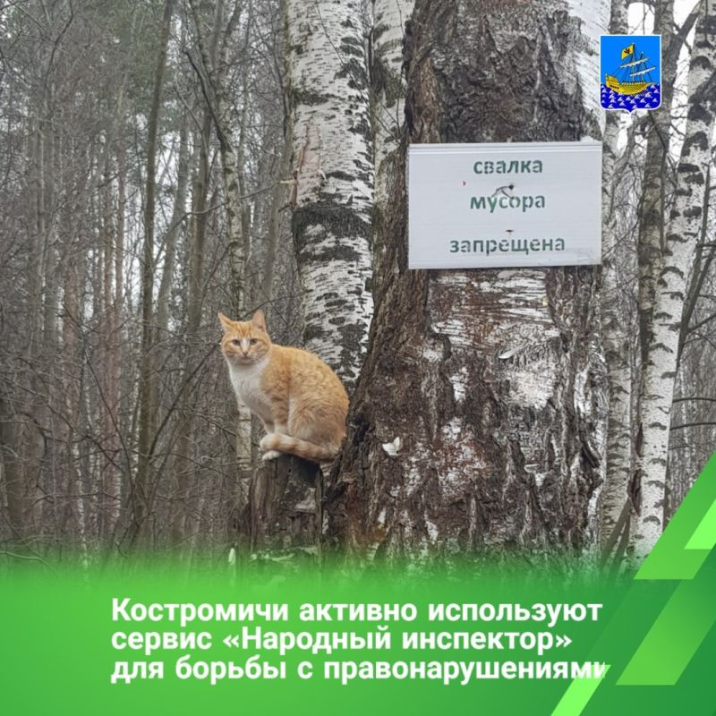 Интернет-платформа аккумулирует сообщения граждан о предполагаемых административных правонарушениях