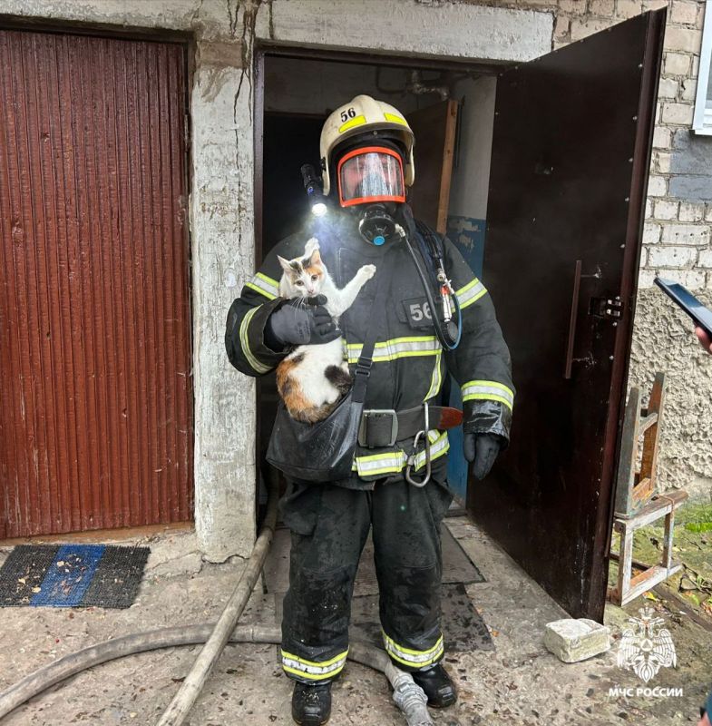 Оставленный без присмотра на включенной газовой плите чайник привел к пожару