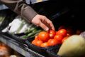 Томаты на прилавках: как внешний вид затмевает реальный вкус