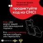 Костромичка перевела мошенникам 275 тысяч рублей под предлогом записи в электронную очередь