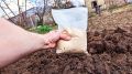 Удобрение, которое преобразит вашу почву: секреты успешного урожая