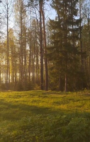 Авторы на Дзен сталкиваются с новыми вызовами: как справиться с падением популярности