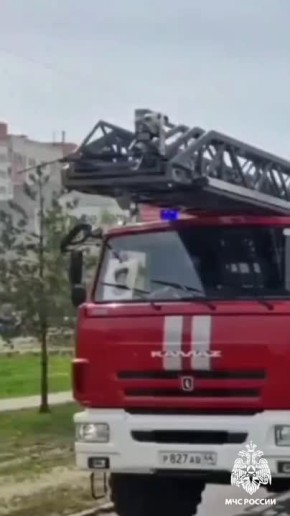 Сегодня - День автомобилиста