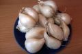 Лук Белый Лукум: нежный вкус и щедрый урожай для вашего стола