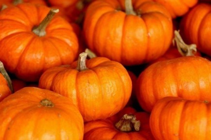 Приготовление тыквенного сока на зиму