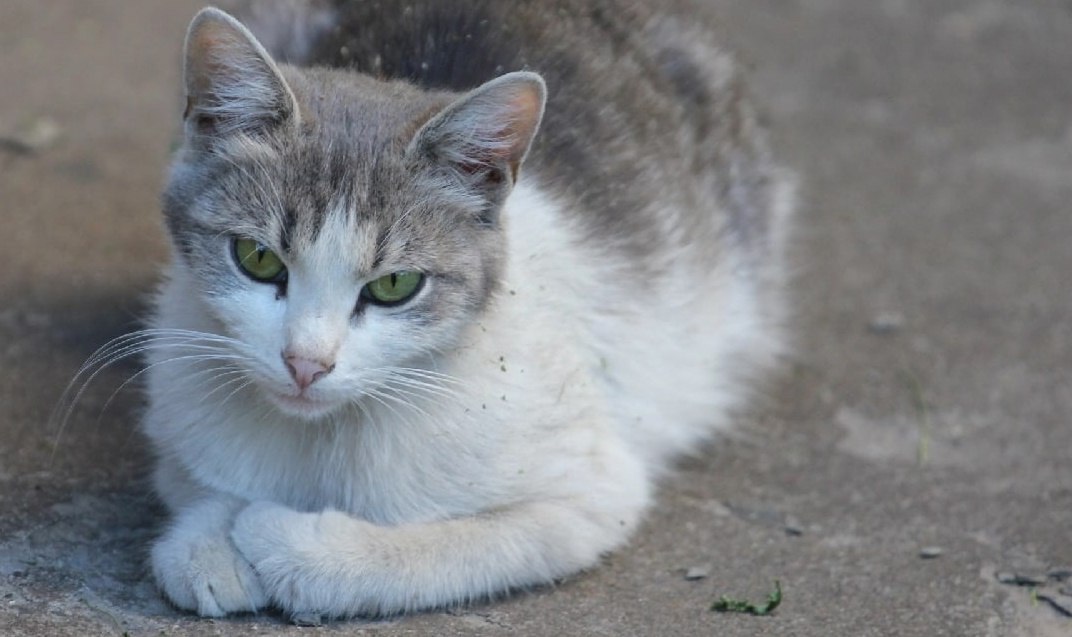 Природа приберегает дожди на ноябрь