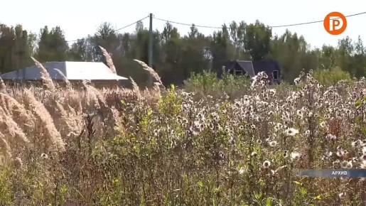 Меры поддержки участников СВО и членов их семей обсудили за круглым столом