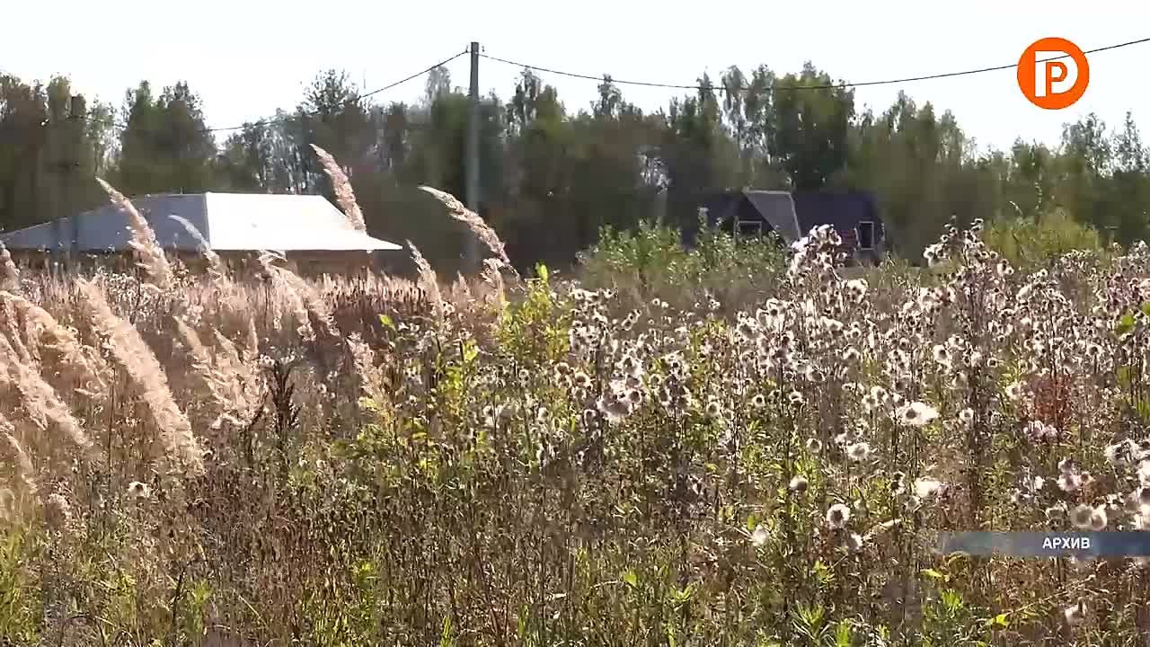 Меры поддержки участников СВО и членов их семей обсудили за круглым столом