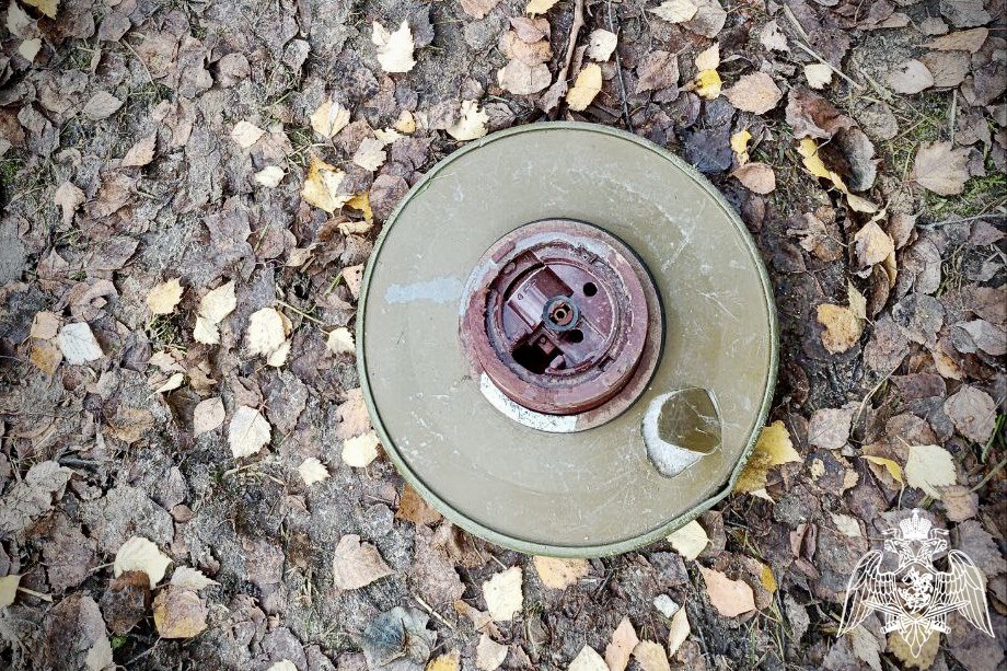 Макет противотанковой мины нашли при ремонте одной из городских площадок в Костроме