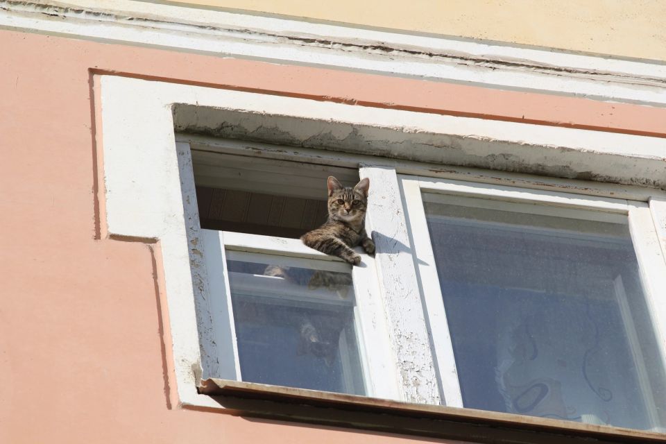 Зима пока не торопится в гости к костромичам