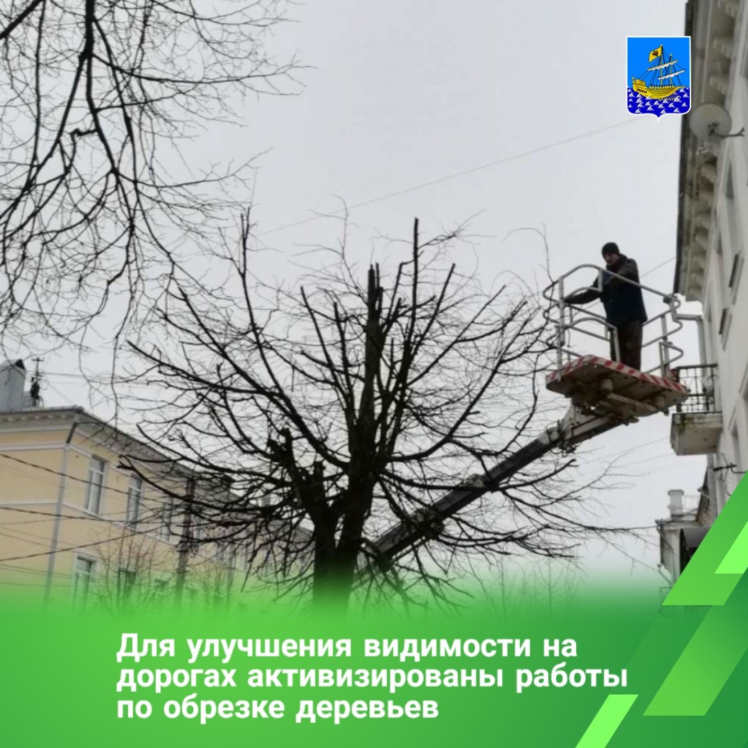 В Костроме на постоянной основе специалистами МКУ «Чистый город» с привлечением подрядных организаций организована работа по санитарному содержанию зеленых насаждений