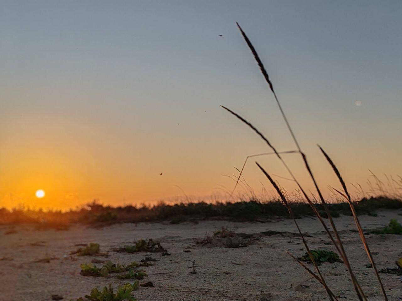 Игорь Кастюкевич: Родная Херсонщина!. В каждом регионе нашей большой и невероятно красивой страны, она ощущается по – разному Игорь Кастюкевич: Родная Херсонщина!. В каждом регионе нашей большой и невероятно красивой страны, она ощущается по – разному