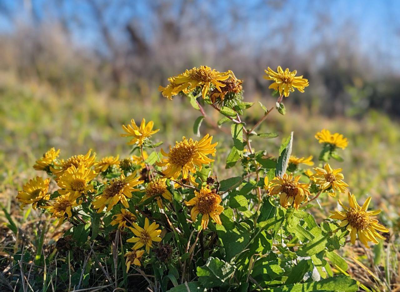 Игорь Кастюкевич: Родная Херсонщина!. В каждом регионе нашей большой и невероятно красивой страны, она ощущается по – разному Игорь Кастюкевич: Родная Херсонщина!. В каждом регионе нашей большой и невероятно красивой страны, она ощущается по – разному
