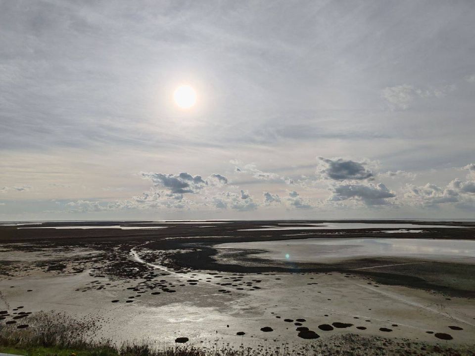 Игорь Кастюкевич: Родная Херсонщина!. В каждом регионе нашей большой и невероятно красивой страны, она ощущается по – разному