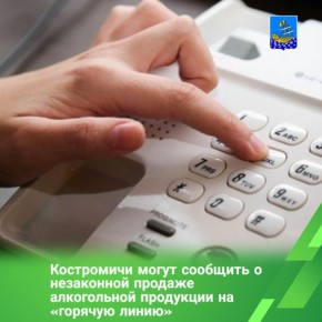 В управлении экономики администрации города организована «горячая линия» по выявлению фактов незаконной реализации алкогольной продукции в объектах нестационарной торговли, расположенных на территории Костромы
