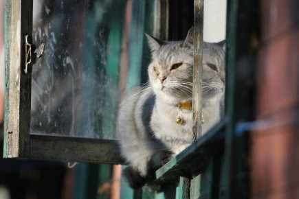 В Костроме началась английская погода