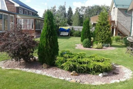 Создание стильного ландшафта с декоративными кустарниками