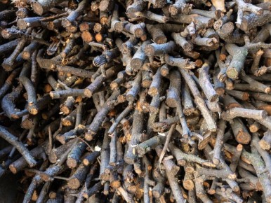 Почему ветки в вашем саду – это сокровище для полезных насекомых