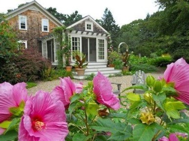 Гибискус садовый: яркое преображение вашего сада