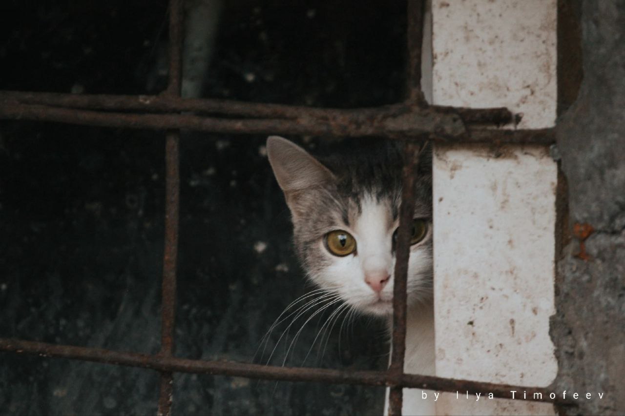 Ветра с Гольфстрима не пускают зиму в гости к костромичам