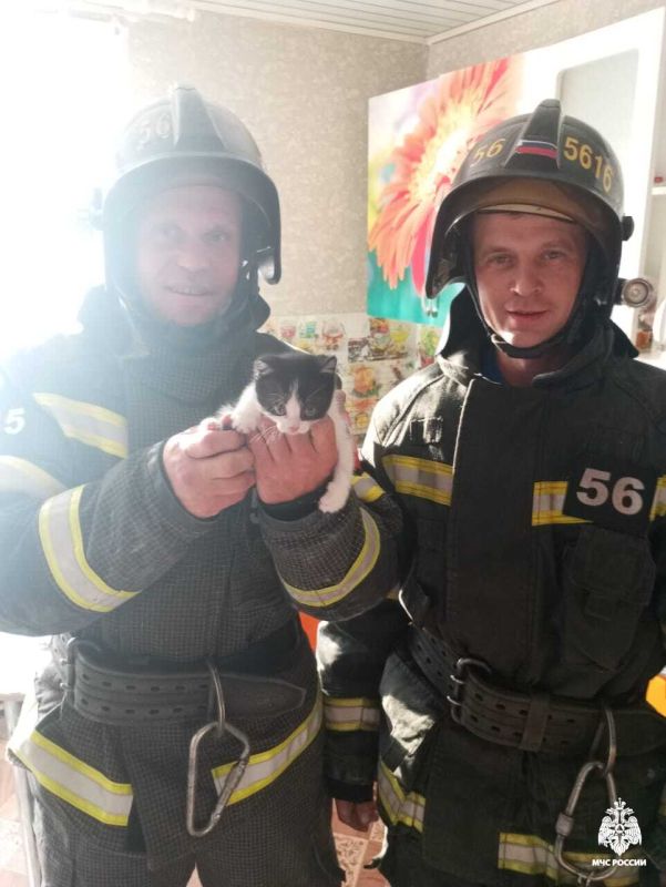 Будь с МЧС России – Будь в безопасности Будь с МЧС России – Будь в безопасности