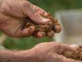 Как самостоятельно оценить качество почвы: простые тесты с водой