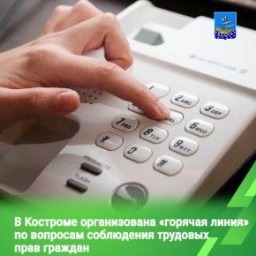 «Горячая линия» по соблюдению трудовых прав граждан будет работать 6 ноября