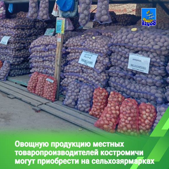 Это позволит поддержать местных фермеров и получить свежие и качественные продукты по более низкой цене