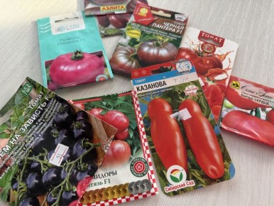 Как выбрать идеальные сорта томатов для теплицы в 2025 году