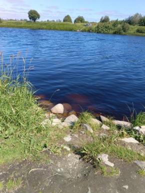 Сколько стоила безопасность в лихие 90-е: воспоминания о настоящем голоде и бедности