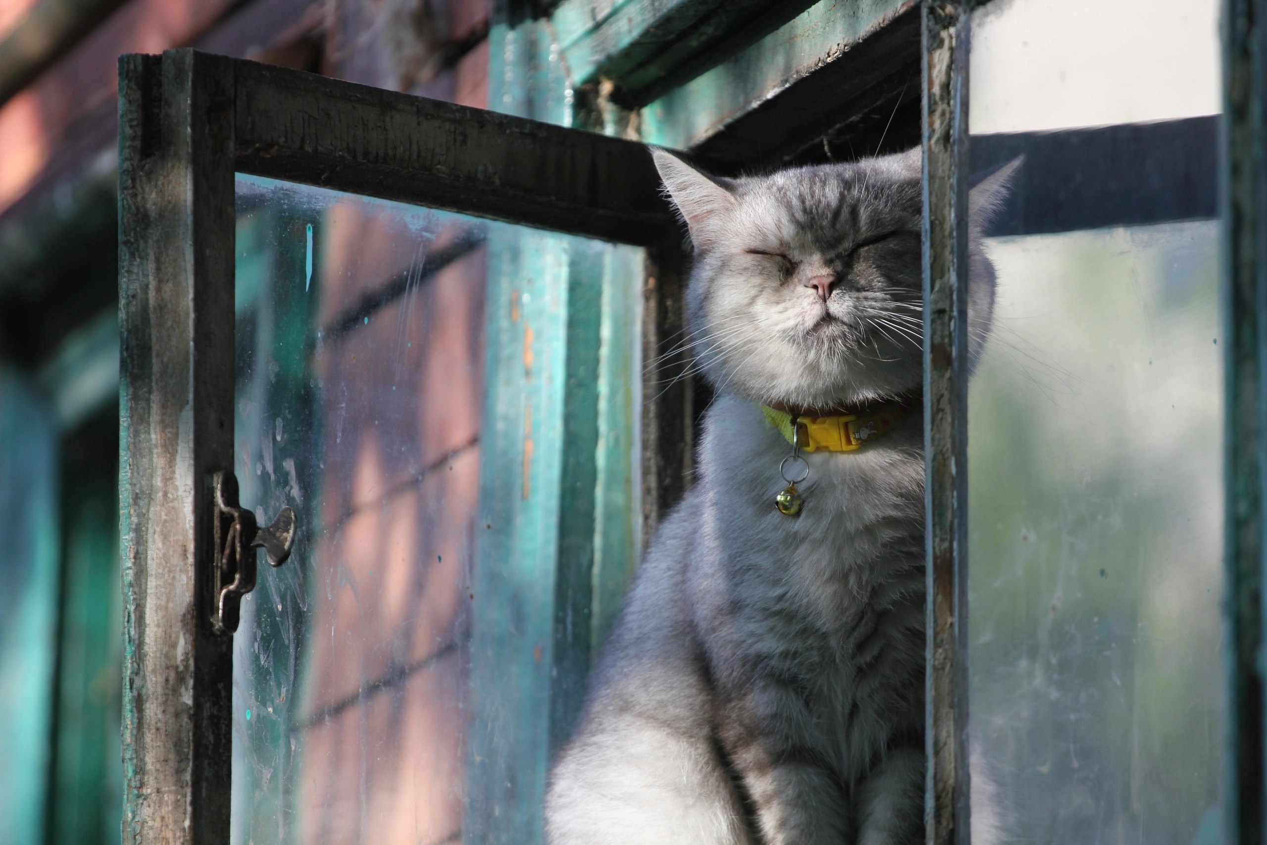 В Костроме сохраняется теплая для ноября погода