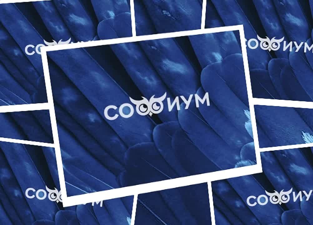 Отличный результат в любом деле не достигается легко и просто