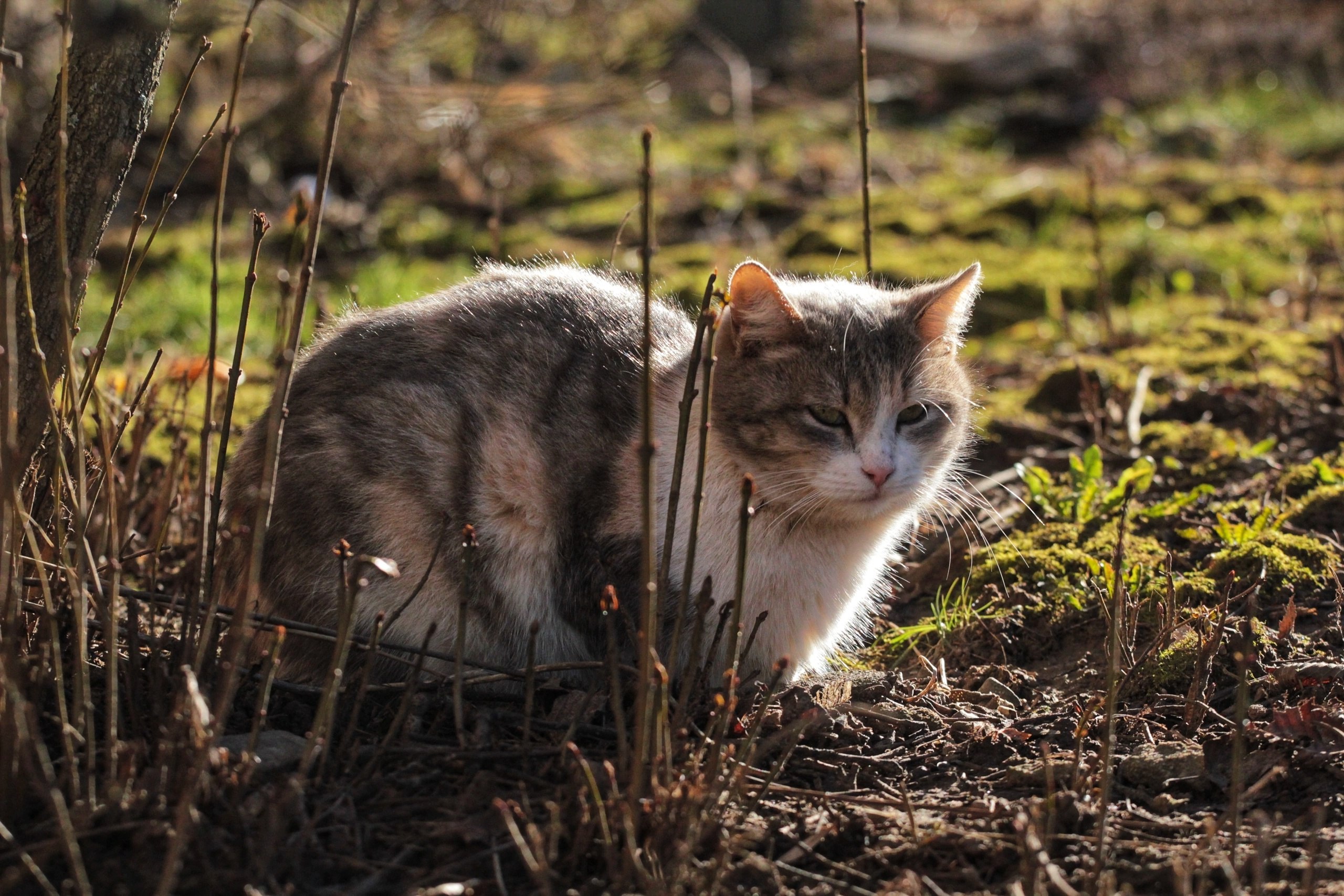 Очередной атмосферный фронт пройдет через территорию Костромской области