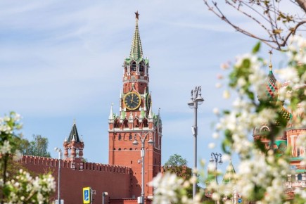 Кремль о расследовании в отношении "Антивоенного комитета России"