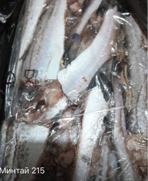 Пенсия выросла всего на 280 рублей: реальность пенсионера в 2025 году