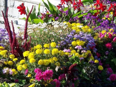 Создание природного уголка без больших вложений