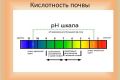 Как кислотность почвы влияет на здоровье растений