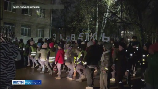 Костромские школьники показали пешеходам, как нужно «зажигать» на дорогах